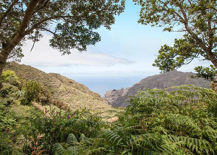Casa Chinamada * La Laguna (Tenerife)